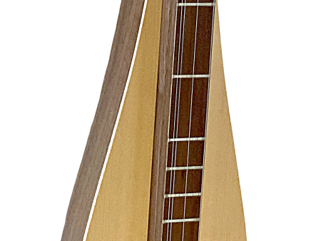 4 String, Flathead, Teardrop with Walnut back and sides, Spruce top (4FTWS) For Discount