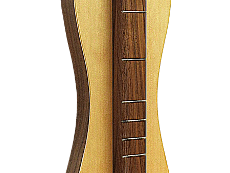 4 String, Scroll head, Hourglass with Walnut back and sides, Spruce top (4SHWS) Online Hot Sale