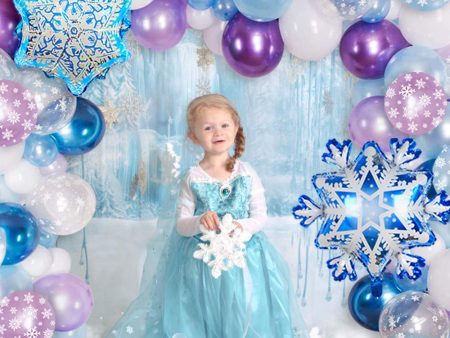 Princess Elsa Frozen Snowflake Theme Party - (RA26) on Sale