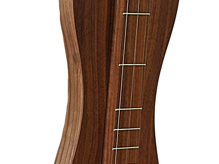 4 String, Scroll head, Hourglass with Walnut back, sides and top (4SHWW) Online Sale