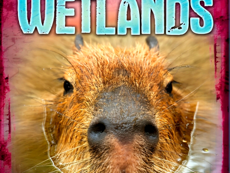 At Home With The Biome: Wetlands Supply